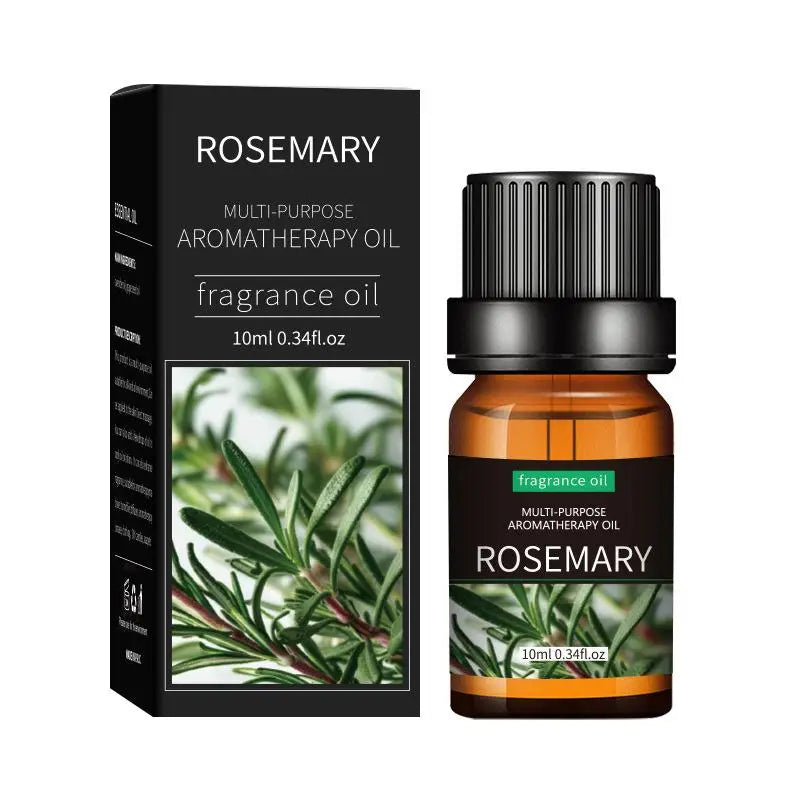 Coffret 20 Huiles Essentielles 10ml – Lavande, Rose, Eucalyptus & Bois de Santal