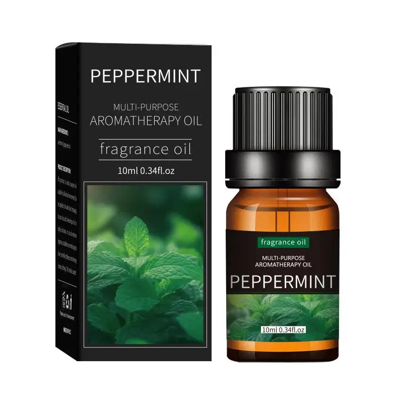 Coffret 20 Huiles Essentielles 10ml – Lavande, Rose, Eucalyptus & Bois de Santal