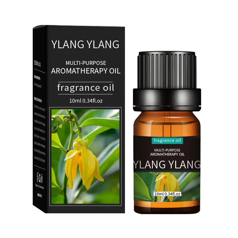 Coffret 20 Huiles Essentielles 10ml – Lavande, Rose, Eucalyptus & Bois de Santal