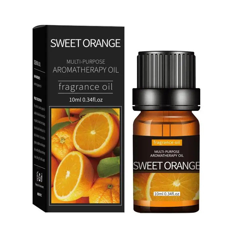 Coffret 20 Huiles Essentielles 10ml – Lavande, Rose, Eucalyptus & Bois de Santal