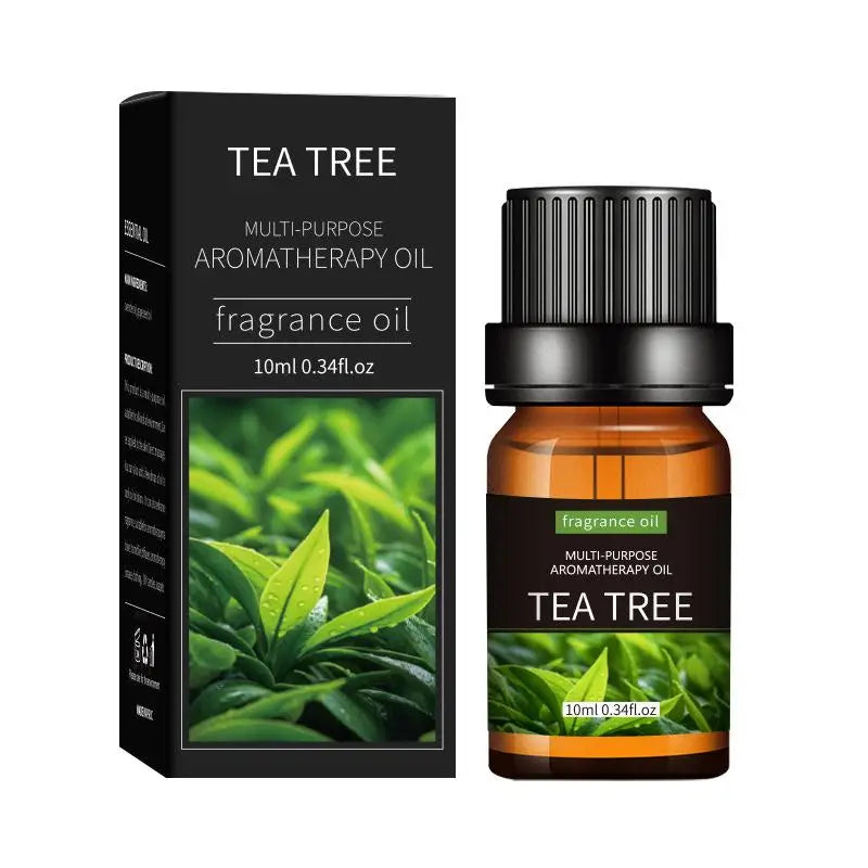 Coffret 20 Huiles Essentielles 10ml – Lavande, Rose, Eucalyptus & Bois de Santal